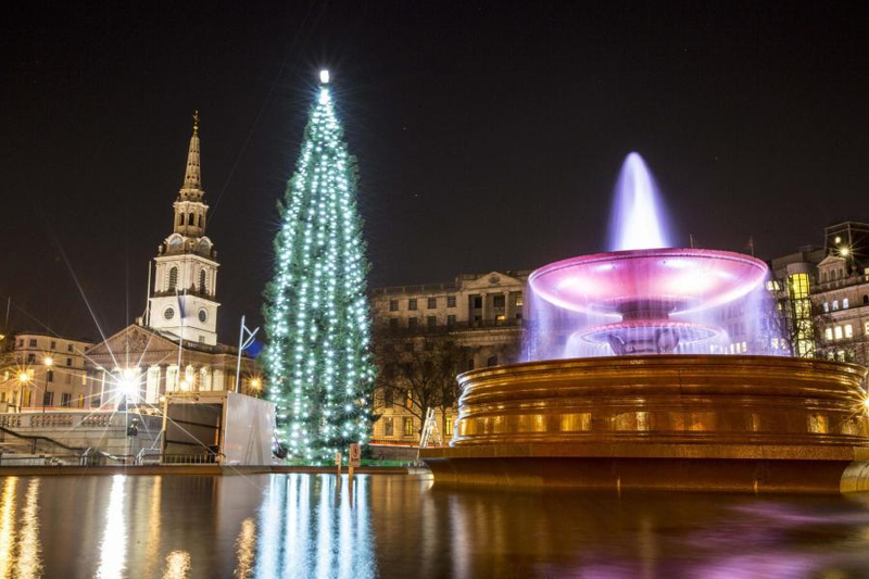 Illustration for article titled Trafalgar Square Christmas tree.
